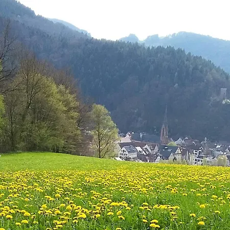 Apartman Vordersbergerhof Hausach