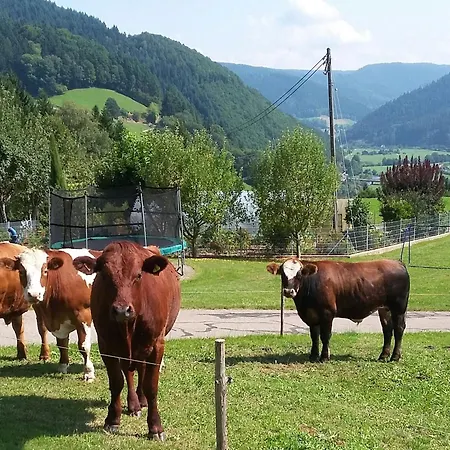 Apartamento Vordersbergerhof Hausach
